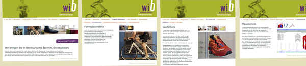 Website wib 2011